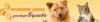 Зоомагазин Ветеринарная клиника доктора Бугаева в Киеве: адреса, акции, отзывы, официальный сайт Ветеринарная клиника доктора Бугаева