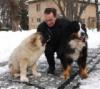 Дрессировка собак с проблемным поведением в Киеве: адреса, телефоны, отзывы и официальные сайты